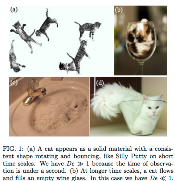 Cat rheology